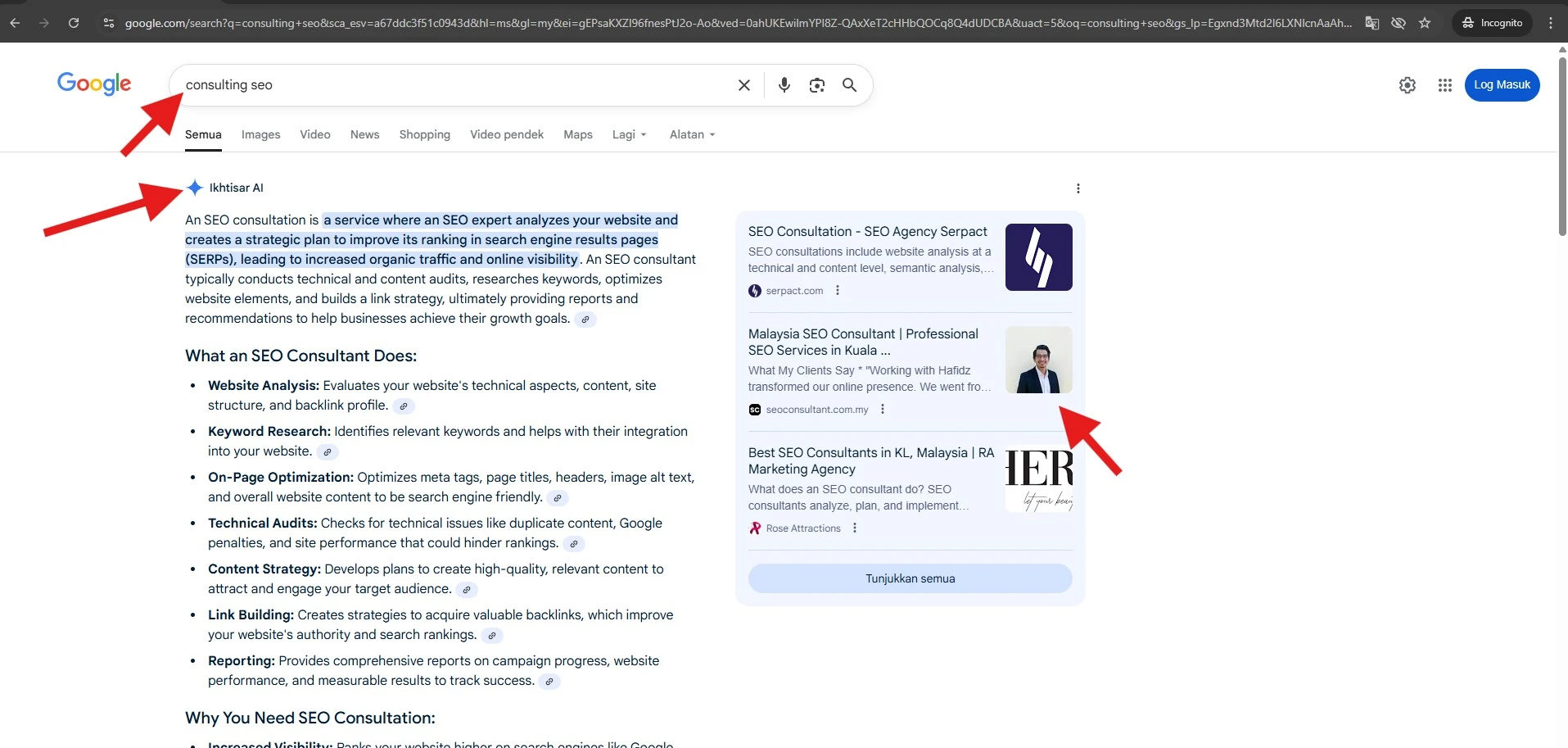 Hafidz Nordin SEO Consultant website featured in Google's AI Search result for 'consulting seo'